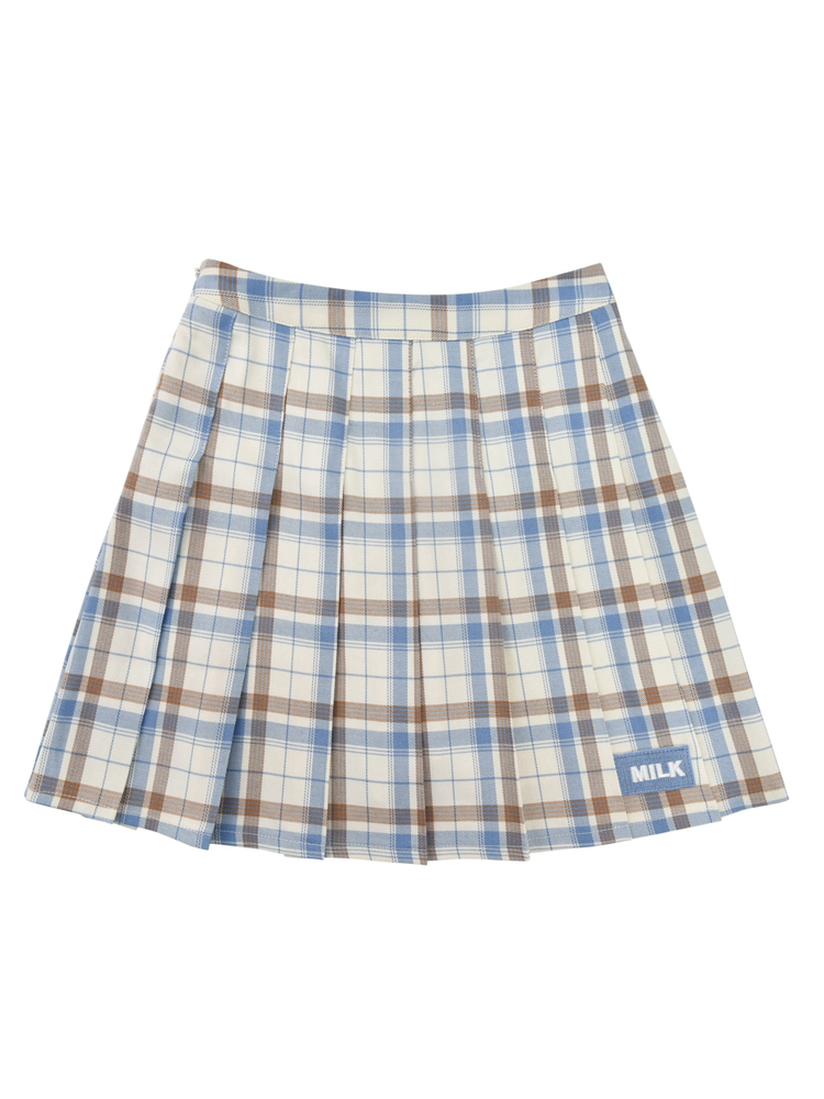 Blue and Brown Plaid Skirt