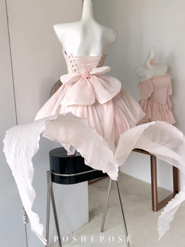 Ballet dress and pearl mesh - BSHAYER ALQUNAIBET